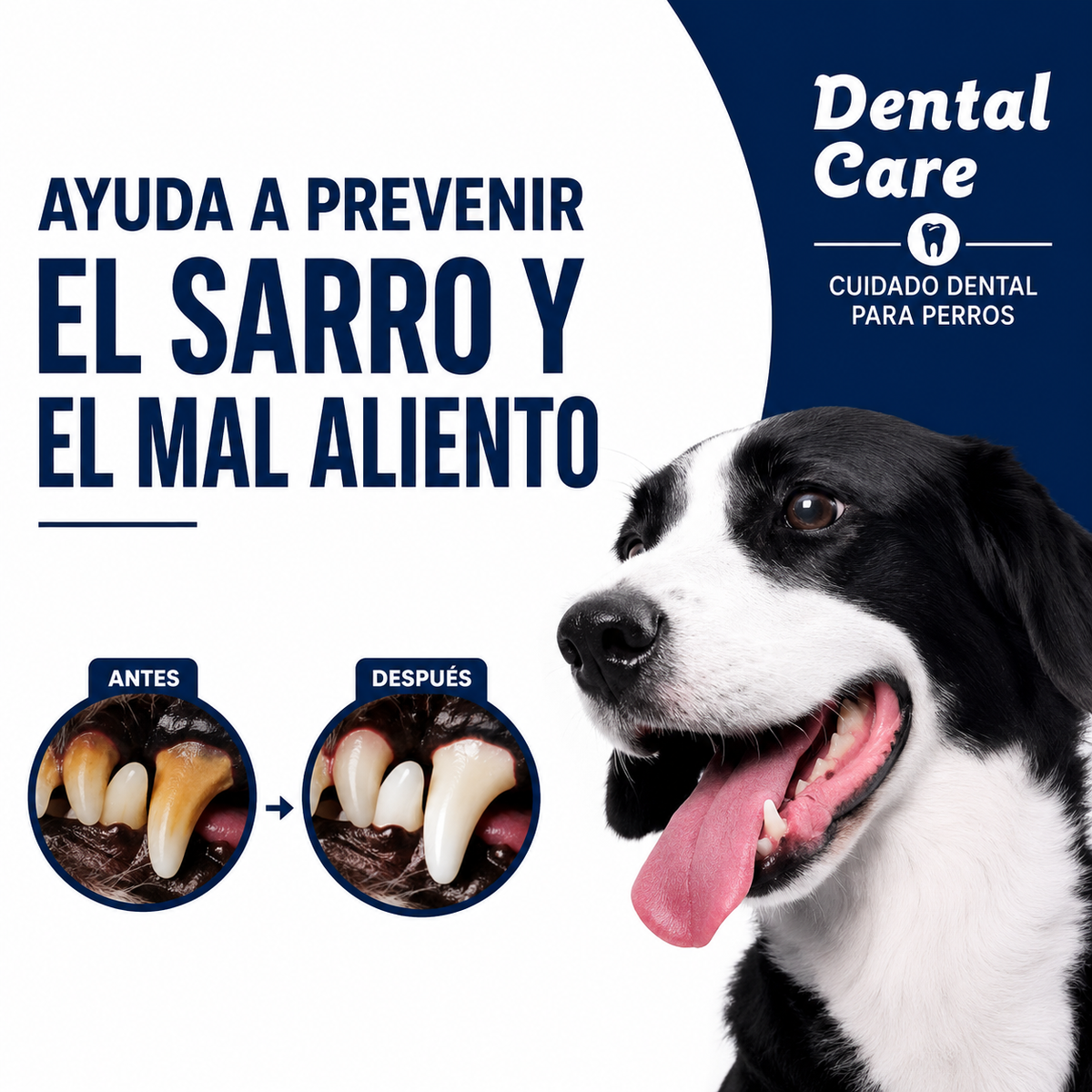 Crema dental para perros y gatos, con sabor a carne 🥩