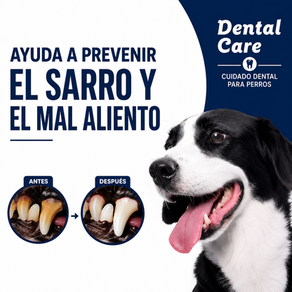Crema dental para perros y gatos, con sabor a carne 🥩
