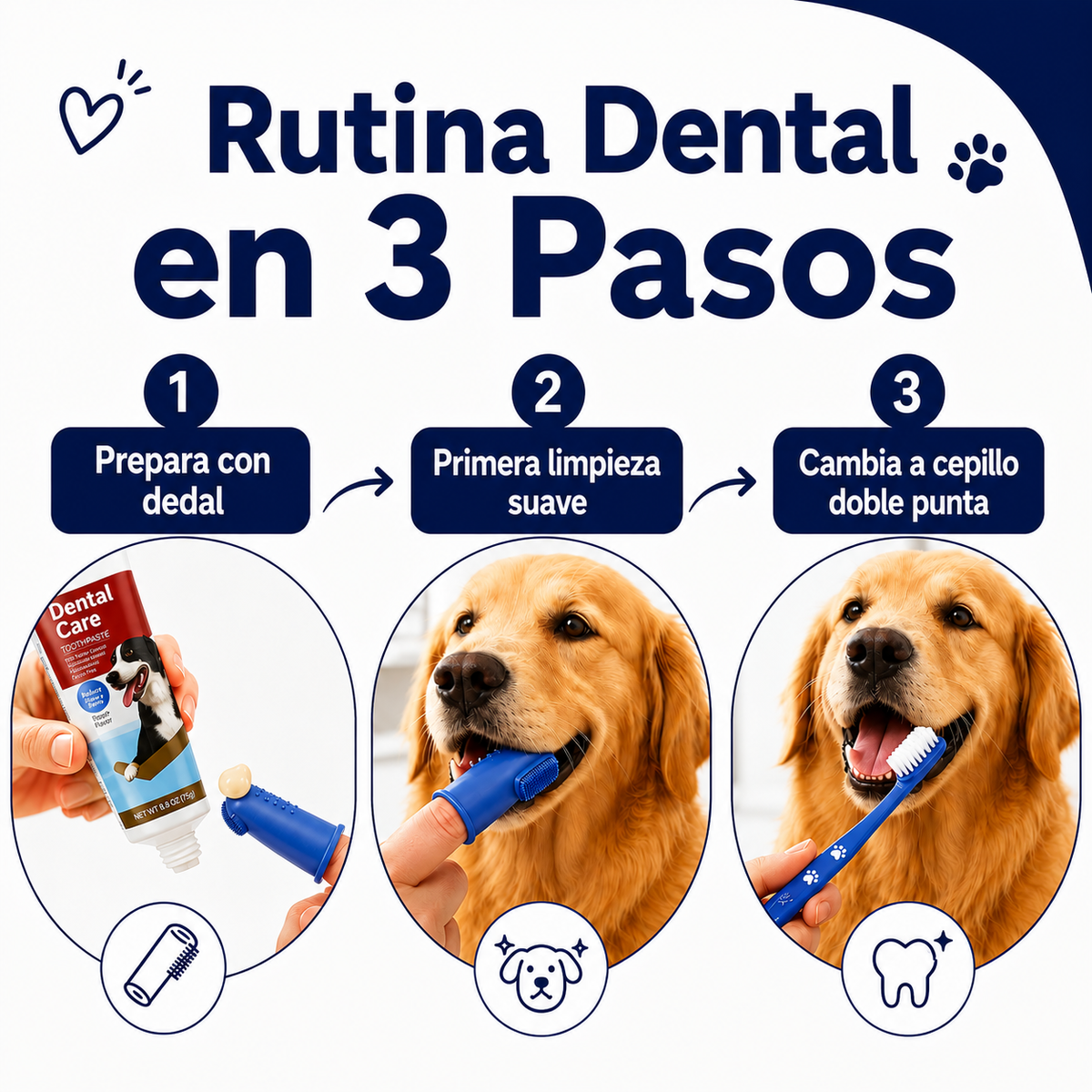 Crema dental para perros y gatos, con sabor a carne 🥩