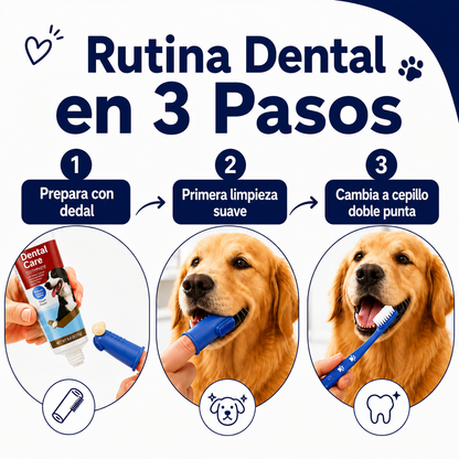 Crema dental para perros y gatos, con sabor a carne 🥩