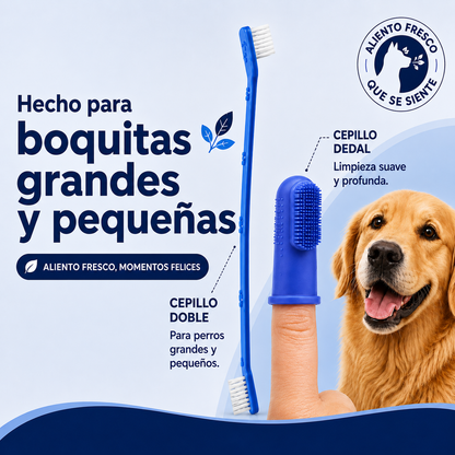 Crema dental para perros y gatos, con sabor a carne 🥩