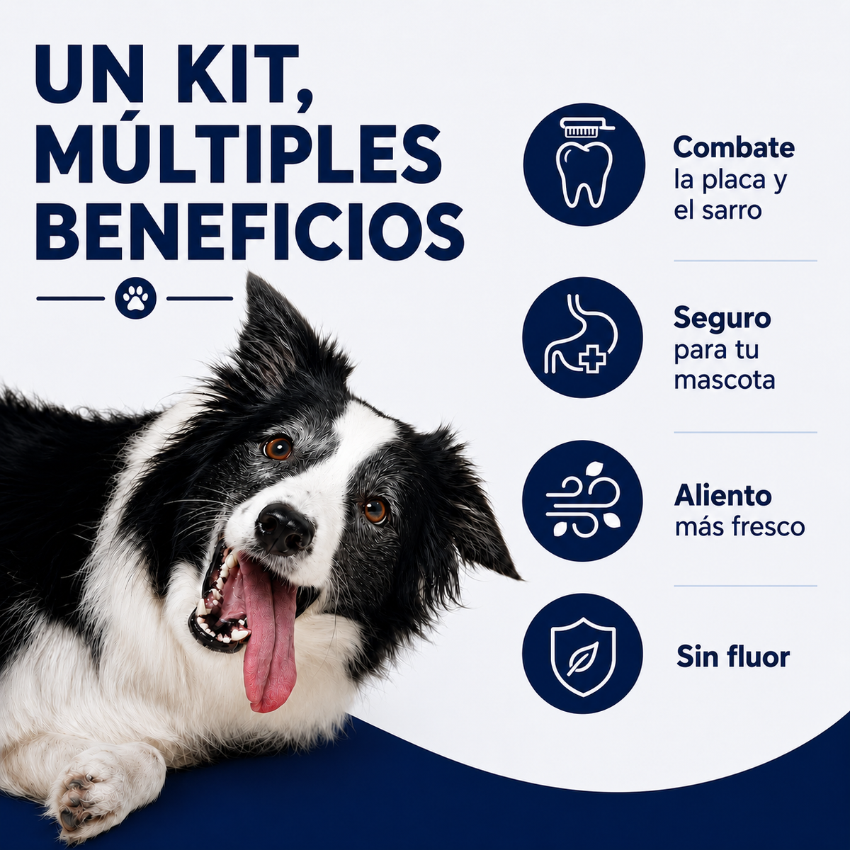 Crema dental para perros y gatos, con sabor a carne 🥩