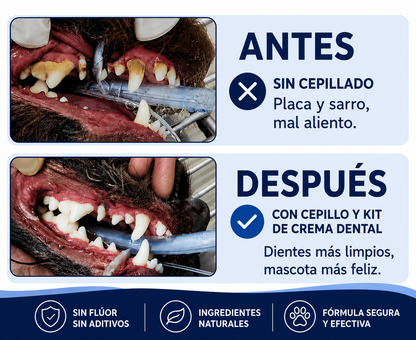 Crema dental para perros y gatos, con sabor a carne 🥩